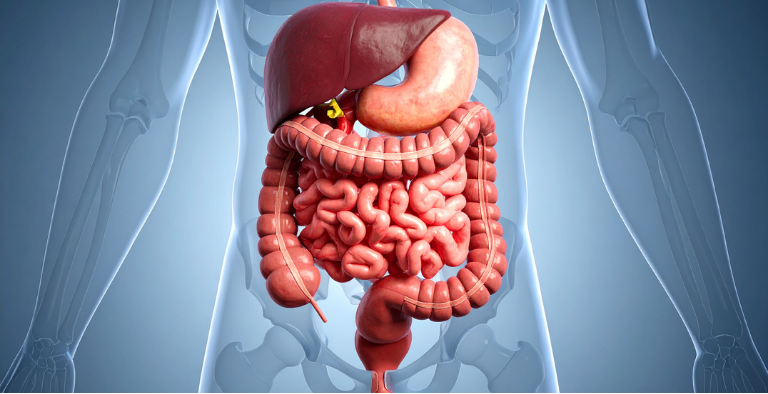 Probiotics for Gut Health